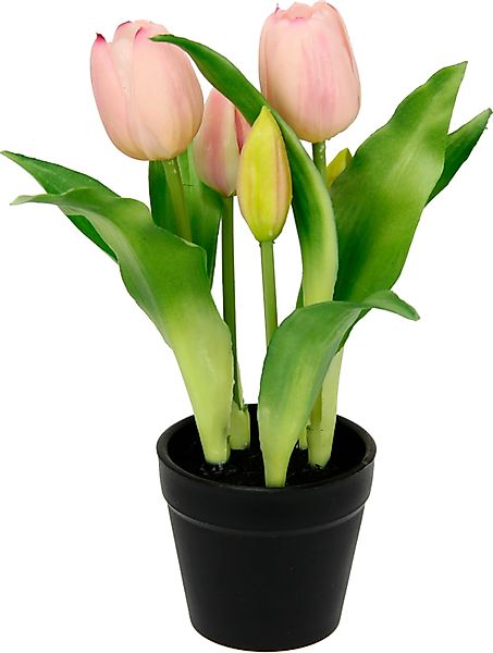 Kunstblume Tulpen, I.GE.A., Höhe 22 cm günstig online kaufen
