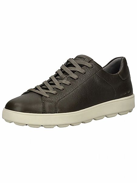 Geox Sneaker "Geox Sneaker Leder" günstig online kaufen