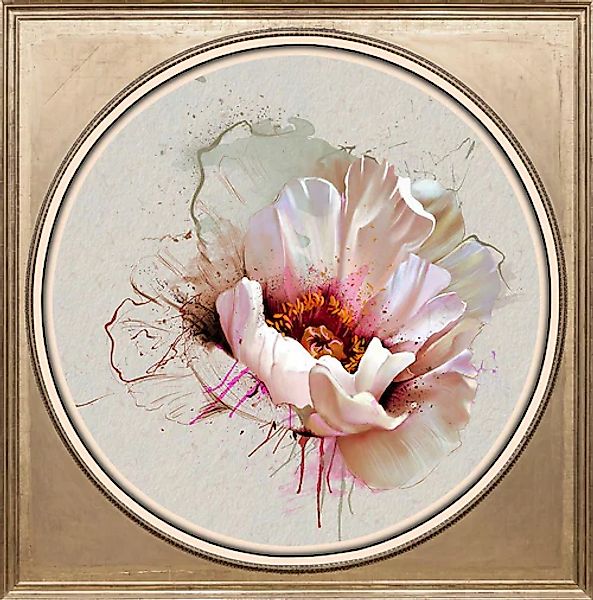 queence Acrylglasbild "Weiße Blüte" günstig online kaufen