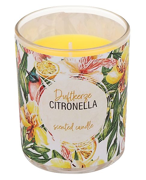 Steinhart Kerzen Duftkerze Citronella Kerze im günstig online kaufen