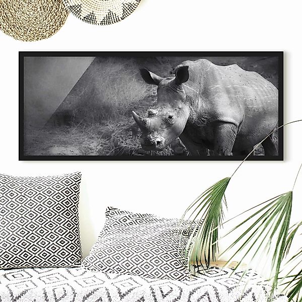 Bild mit Rahmen Schwarz-Weiß - Panorama Lonesome Rhinoceros günstig online kaufen