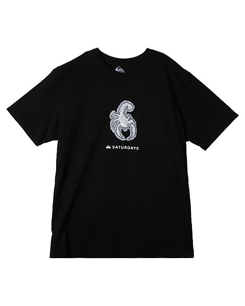 Quiksilver T-Shirt "Snyc Graphic" günstig online kaufen