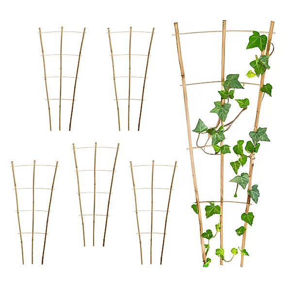 Spetebo Rankgitter Bambus 75 x 35 günstig online kaufen