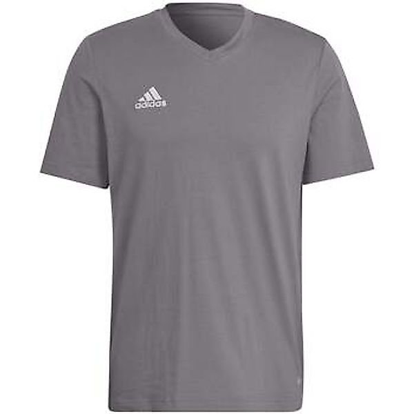 adidas  T-Shirts & Poloshirts Ent22 Tee günstig online kaufen