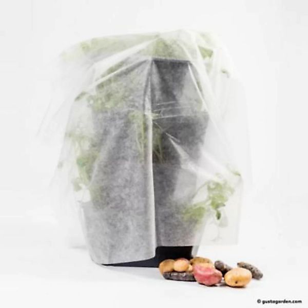 Gusta Garden Paul Potato Starter Frostschutzhaube (Schlauchform) weiß günstig online kaufen