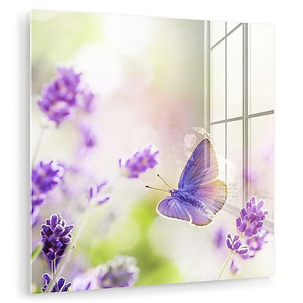 MuchoWow Acrylglasbild Lavendel - Schmetterling - günstig online kaufen