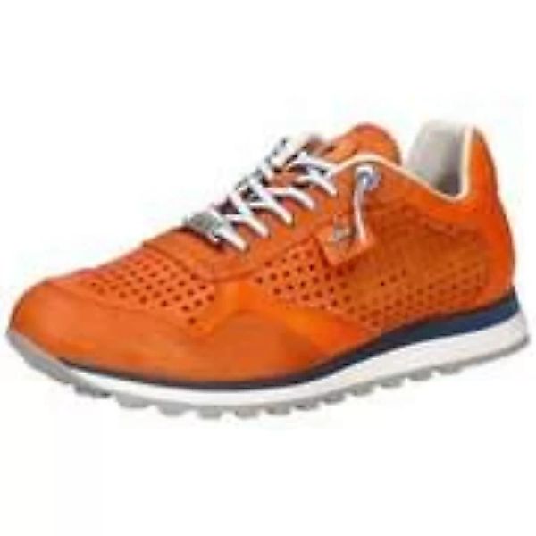 Cetti Sneaker Herren orange|orange|orange|orange|orange|orange|orange|orang günstig online kaufen