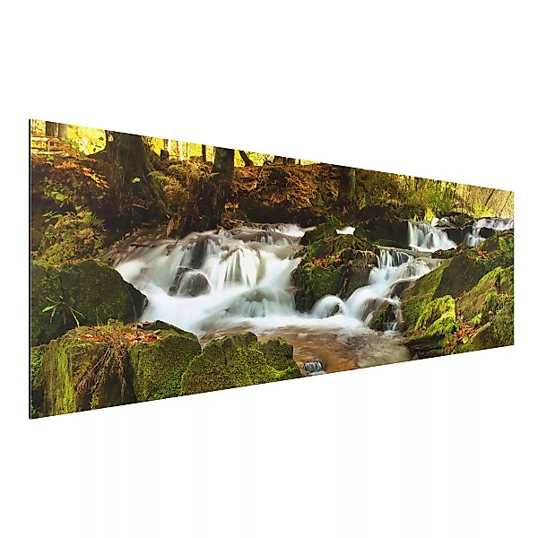 Alu-Dibond Bild Natur & Landschaft - Panorama Wasserfall herbstlicher Wald günstig online kaufen