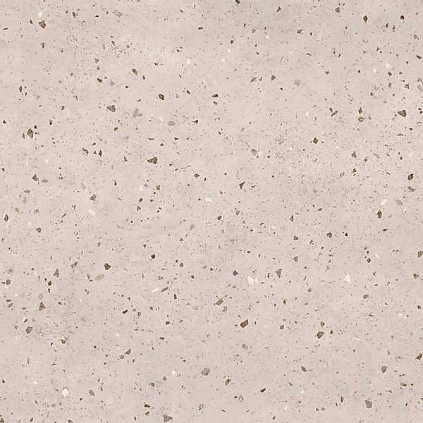 Bodenfliese Feinsteinzeug Posito 59,8 cm x 59,8 cm günstig online kaufen