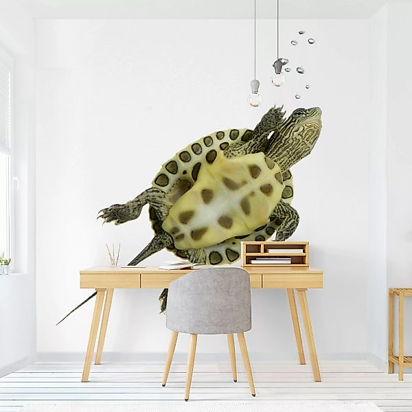 Bilderwelten Kindertapete Schwimmende Schildkröte grün Gr. 192 x 192 günstig online kaufen
