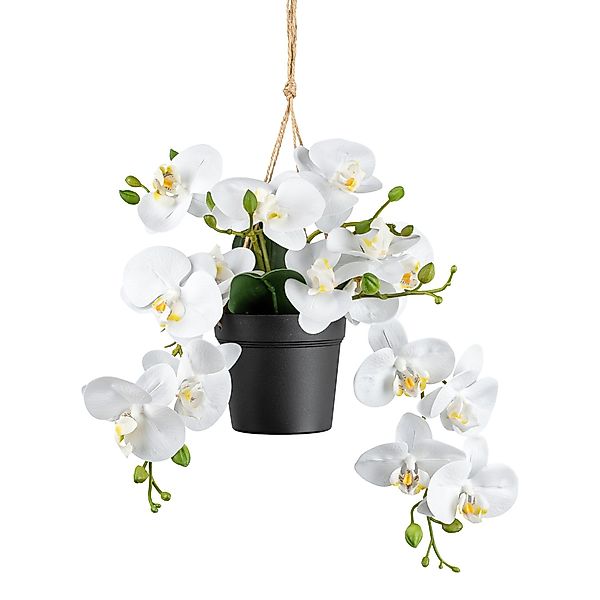 Kunstpflanze Phalaenopsis im Ampeltopf, 25 cm, günstig online kaufen