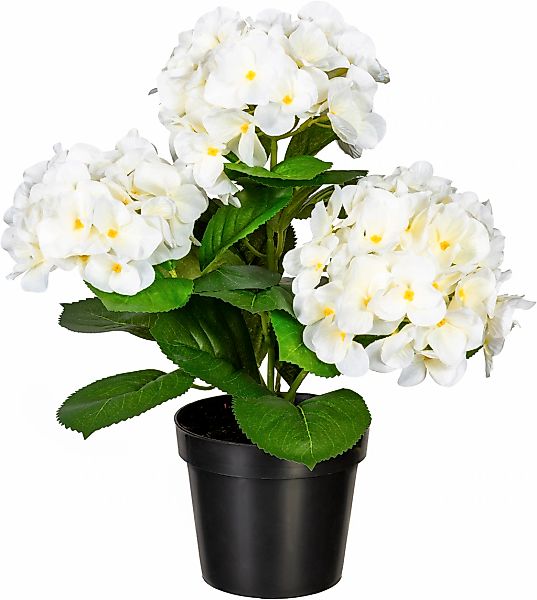 Kunstpflanze Hortensienbusch Hortensie, Creativ green, Höhe günstig online kaufen