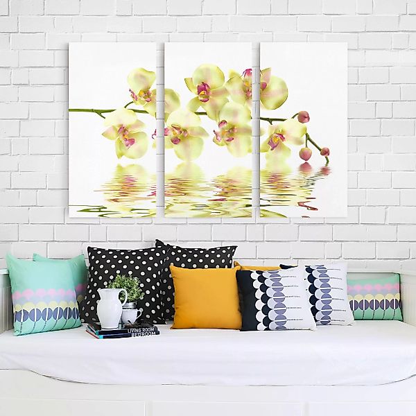 3-teiliges Leinwandbild Blumen - Querformat Dreamy Orchid Waters günstig online kaufen