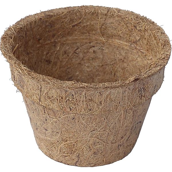 Proflora Kokosfaser Anzucht-Pflanztopf 0,15, (100 Töpfe) günstig online kaufen