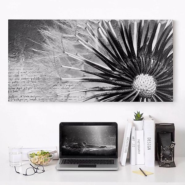 Leinwandbild Blumen - Querformat Pusteblume Schwarz & Weiß günstig online kaufen