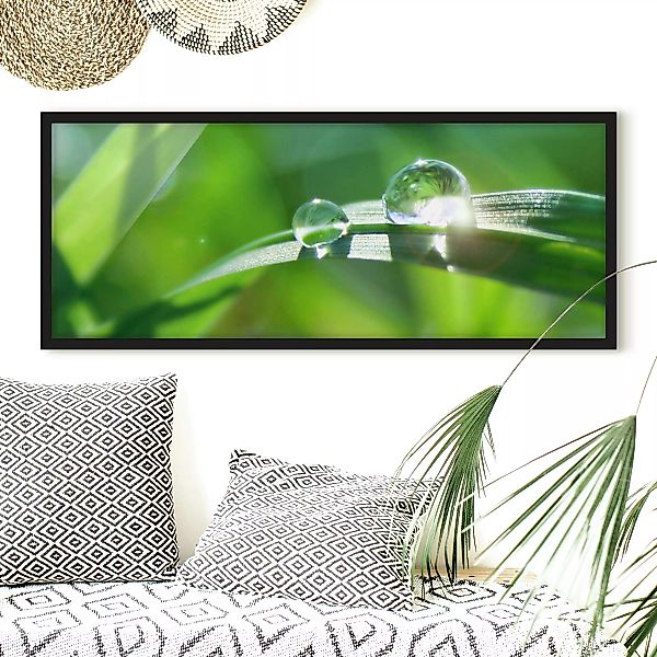 Bild mit Rahmen Blumen - Panorama Green Ambiance II günstig online kaufen