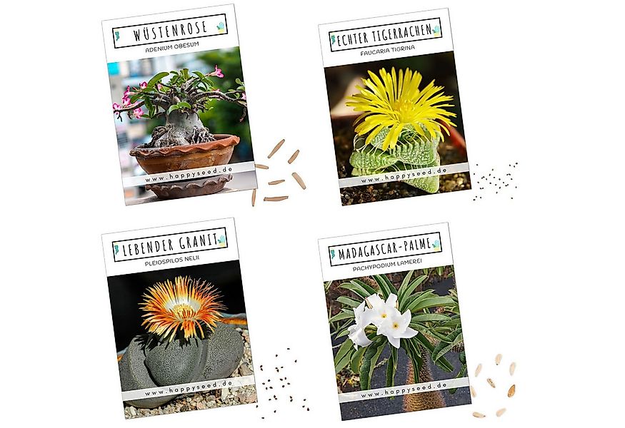HappySeed Blumensamen Exotische Kakteen Samen mit hoher Keimrate - 4er Set günstig online kaufen