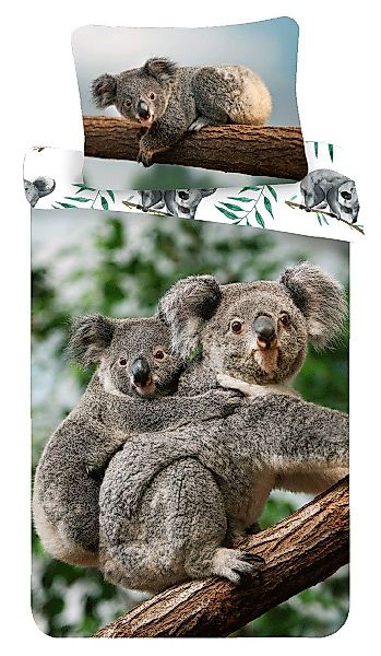 Sweet Home Kinderbettwäsche Koala, Renforcé, 2 günstig online kaufen