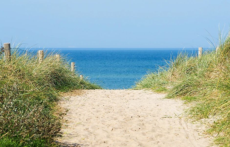 Papermoon Fototapete "Dune at the Ocean" glatt günstig online kaufen