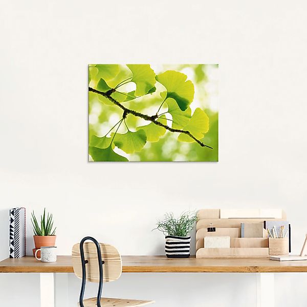 Artland Glasbild "Ginkgo", Blätter, (1 St.), in verschiedenen Größen günstig online kaufen