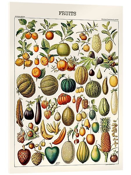 Posterlounge Wandbild Illustration von Früchten, 1923, günstig online kaufen