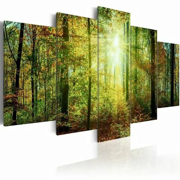 artgeist Wandbild Wild Forest mehrfarbig Gr. 200 x 100 günstig online kaufen