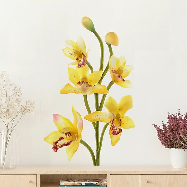 Wandtattoo Blumen No.173 Orchidee Gelb günstig online kaufen