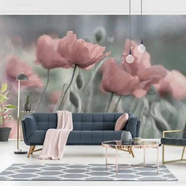 Bilderwelten Blumentapete Malerische Mohnblumen rosa Gr. 336 x 225 günstig online kaufen