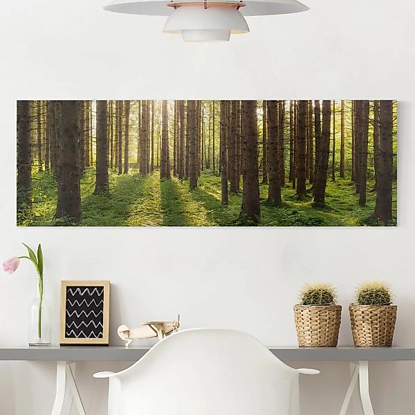 Leinwandbild - Panorama Sonnenstrahlen in grünem Wald günstig online kaufen