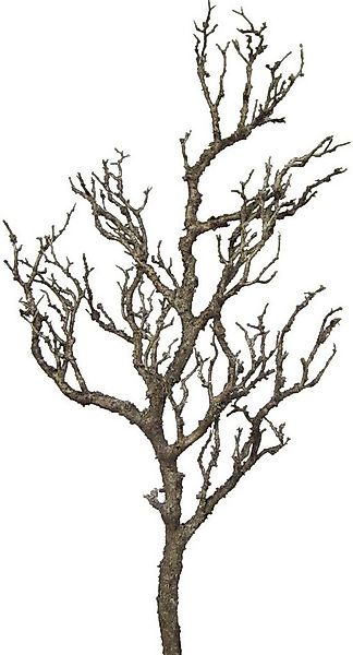 Kunstzweig Dekoast Ast, Creativ green, Höhe 78 cm günstig online kaufen