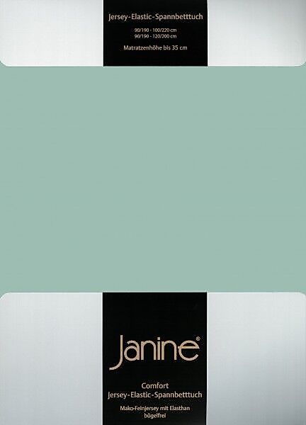 Janine Janine Spannbetttuch Elastic-Jersey 5002 rauchgrün (36) Größe:  200x günstig online kaufen