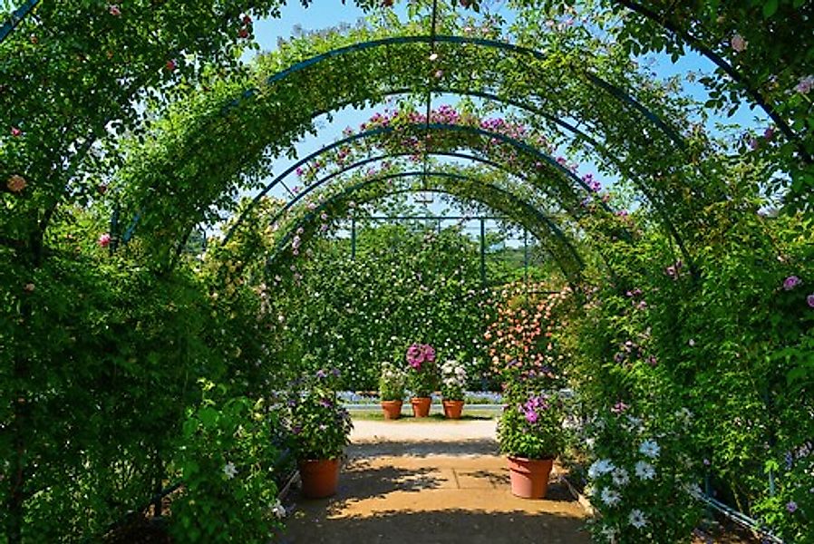 Papermoon Fototapete »Garten« günstig online kaufen