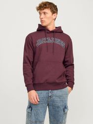 Jack & Jones Kapuzensweatshirt JJECALEB VARSITY günstig online kaufen