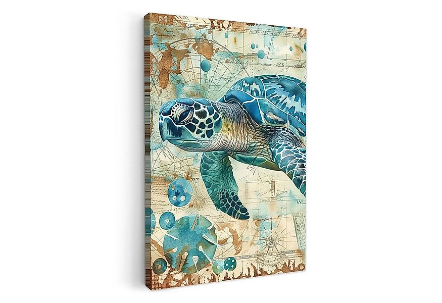 OneMillionCanvasses® Leinwandbild Weinlese - Schildkröte - Meerestiere - Aq günstig online kaufen