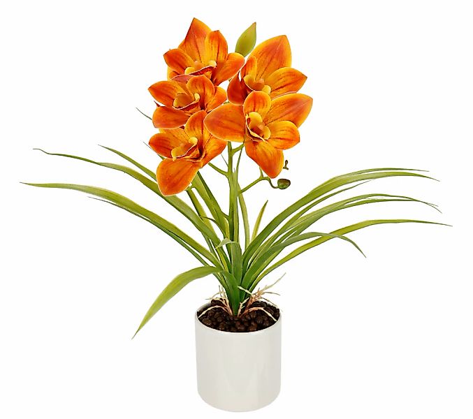 I.GE.A. Kunstorchidee "Orchidee Phalaenopsis im Topf", Blume Kunstblume Sei günstig online kaufen