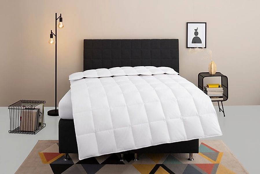 my home Daunenbettdecke "Nobyn, Bettdecke 135x200 cm und 155x220 cm" normal günstig online kaufen
