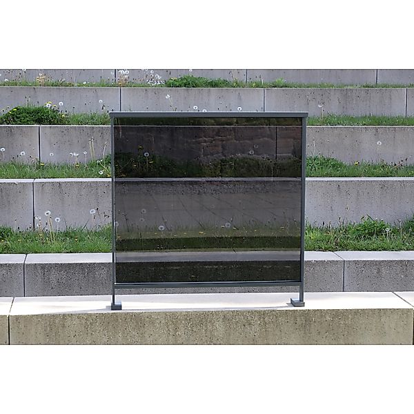 Dieda Linus Glasscheibe Anthrazit Füllung VSG 100 cm x 100 cm VSG 2 mm x 4 günstig online kaufen