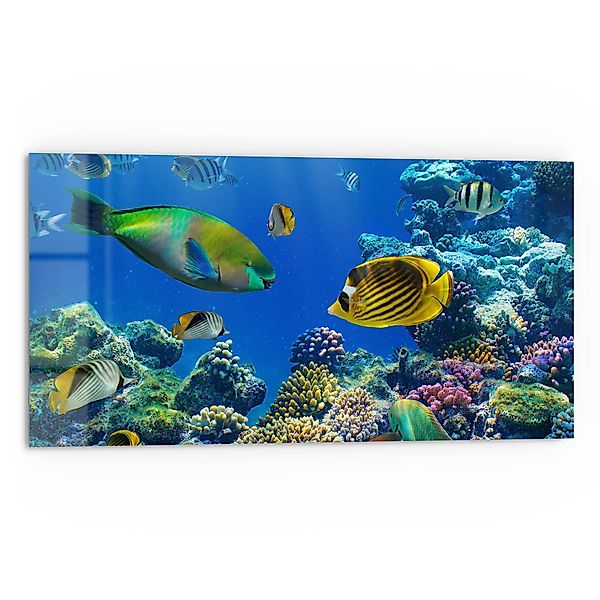 DEQORI Küchenrückwand 'Unterwasserwelten', Glas Spritzschutz Badrückwand günstig online kaufen