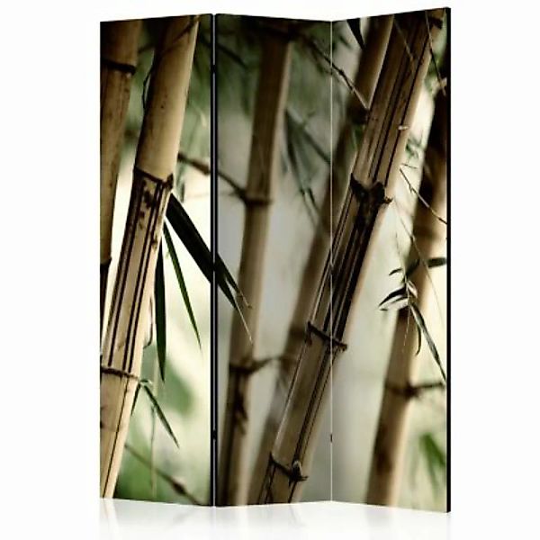artgeist Paravent Fog and bamboo forest [Room Dividers] grün-kombi Gr. 135 günstig online kaufen