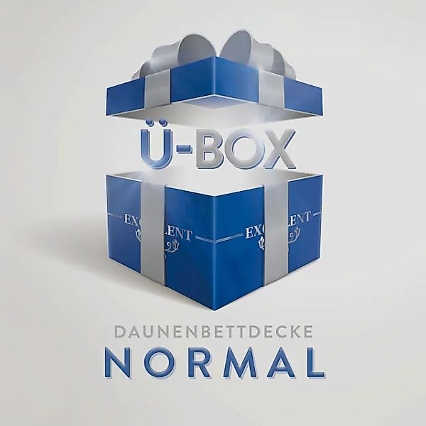 Excellent Daunenbettdecke »Überraschungsbox«, normal, Füllung 90% Daunen, 1 günstig online kaufen