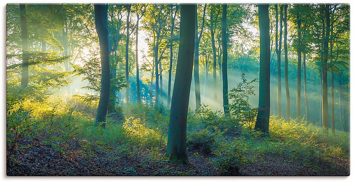 Artland Leinwandbild "Wald Panorama" Waldbilder 1 Stk. tlg. auf Holzrahmen günstig online kaufen