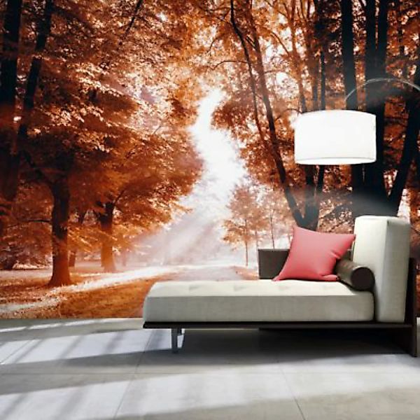artgeist Fototapete Autumn Park mehrfarbig Gr. 250 x 175 günstig online kaufen