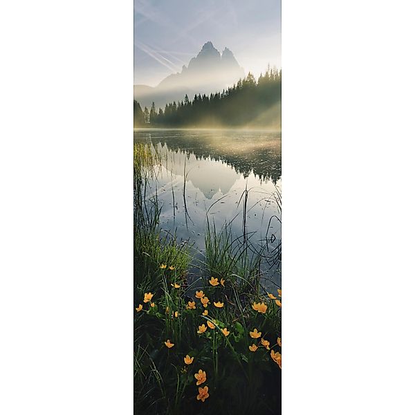 Komar Fototapete Vlies Morning Mist  100 x 280 cm günstig online kaufen