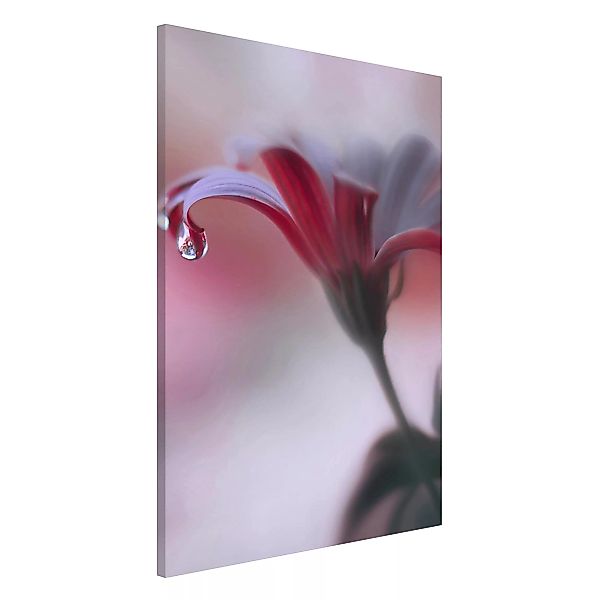 Magnettafel Blumen - Hochformat 2:3 Invisible Touch günstig online kaufen