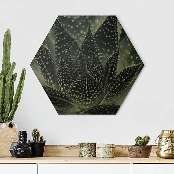 Hexagon-Alu-Dibond Bild Kaktus mit Sternpunkten bei Nacht günstig online kaufen