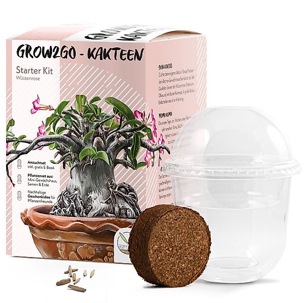 HappySeed Blumensamen Kakteen Starter Kit Anzuchtset -Gewächshaus, Kaktus S günstig online kaufen
