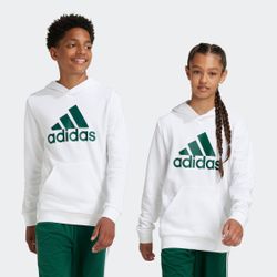 adidas Sportswear Kapuzensweatshirt BIG LOGO ESSENTIALS günstig online kaufen