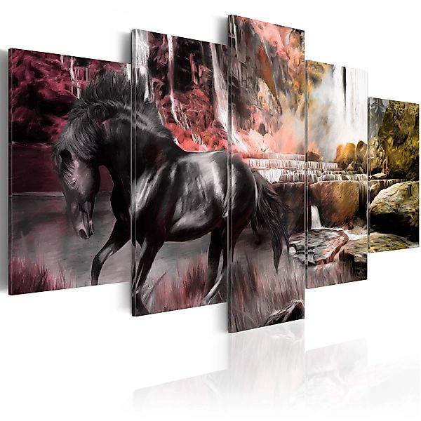 Wandbild - Schwarze Pferd im Dunst des Wasserfalls günstig online kaufen