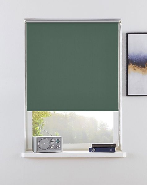 Seitenzugrollo THEMSE, my home, abdunkelnd, ohne günstig online kaufen