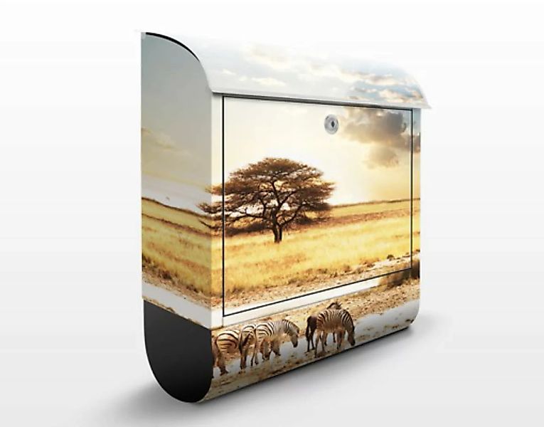 Briefkasten Natur & Landschaft Das Leben der Zebras günstig online kaufen